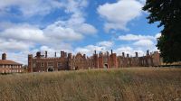20220803 133907 Superbloom am  Hampton Court Palace &ndash; &copy; Marlies Thrum (Eberhardt TRAVEL)