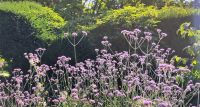 125 Arley Arboratum & Gardens &ndash; &copy; Konrad Füssel (Eberhardt TRAVEL)
