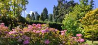 127 Arley Arboratum & Gardens &ndash; &copy; Konrad Füssel (Eberhardt TRAVEL)