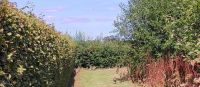 134 Arley Arboratum & Gardens &ndash; &copy; Konrad Füssel (Eberhardt TRAVEL)