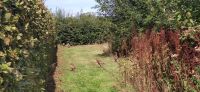 138 Arley Arboratum & Gardens &ndash; &copy; Konrad Füssel (Eberhardt TRAVEL)