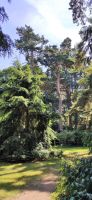 141 Arley Arboratum & Gardens &ndash; &copy; Konrad Füssel (Eberhardt TRAVEL)