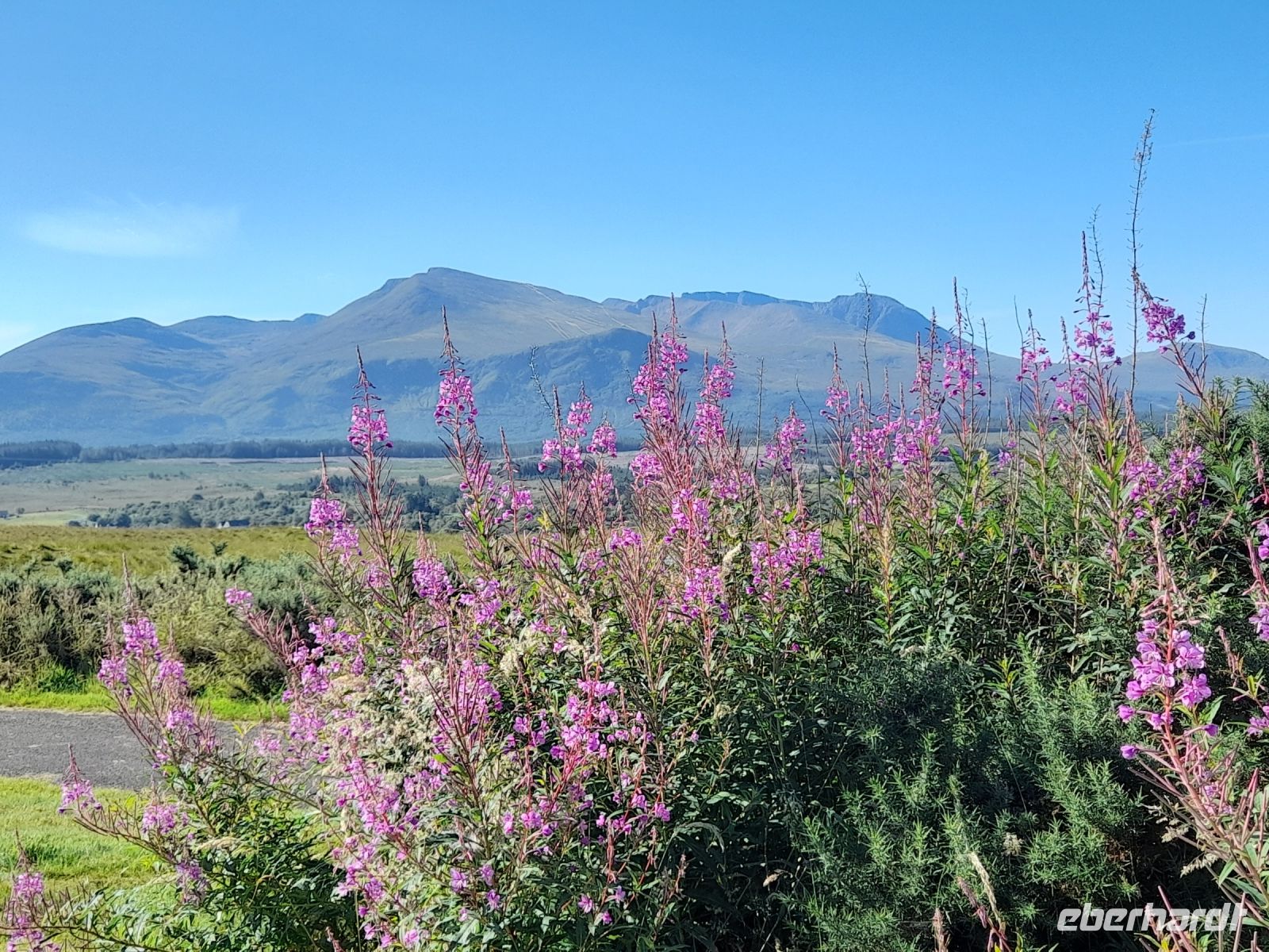Blick auf Ben Nevis &ndash; &copy; Sinah Witzig (Eberhardt TRAVEL)