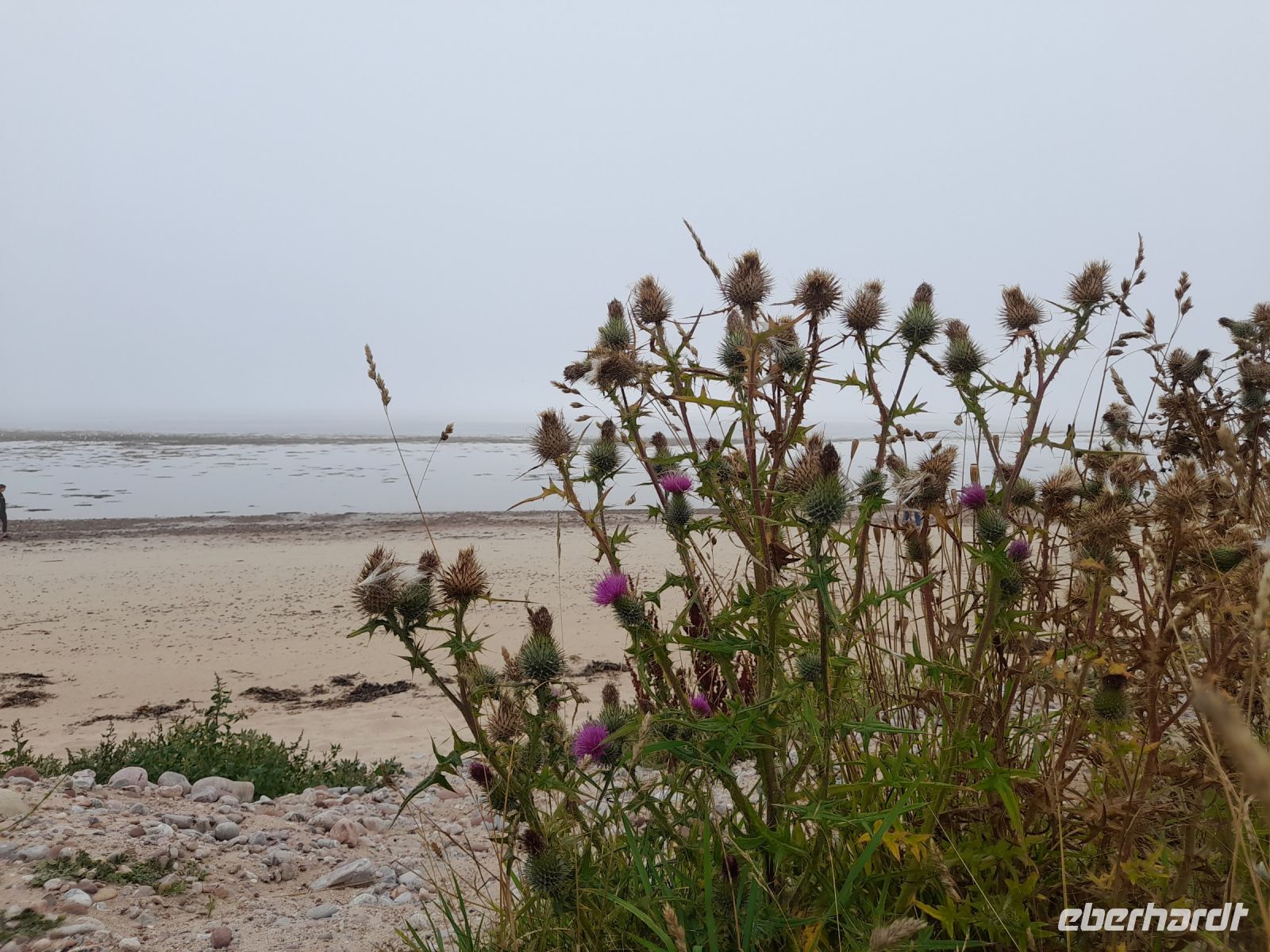 Strand von Golspie &ndash; &copy; Sinah Witzig (Eberhardt TRAVEL)