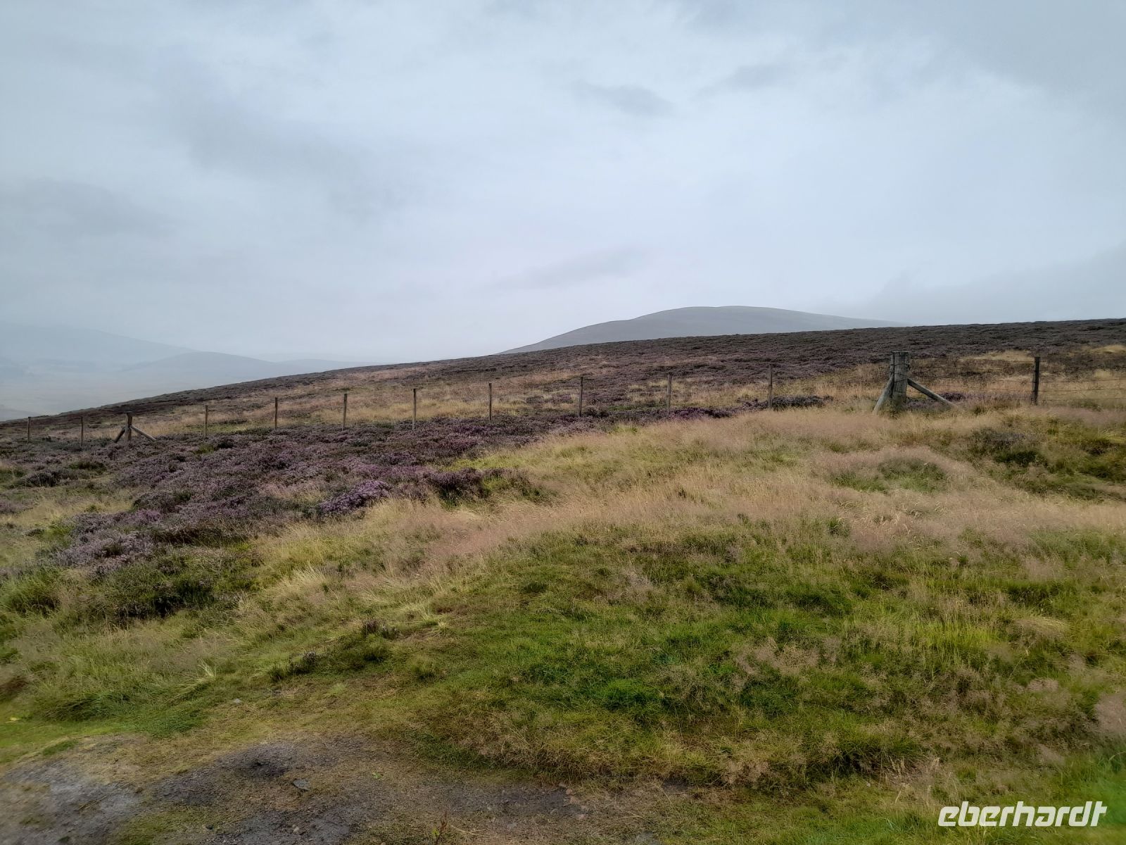 Cairngoms Nationalpark &ndash; &copy; Sinah Witzig (Eberhardt TRAVEL)