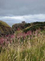 Dunnotar Castle &ndash; &copy; Sinah Witzig (Eberhardt TRAVEL)