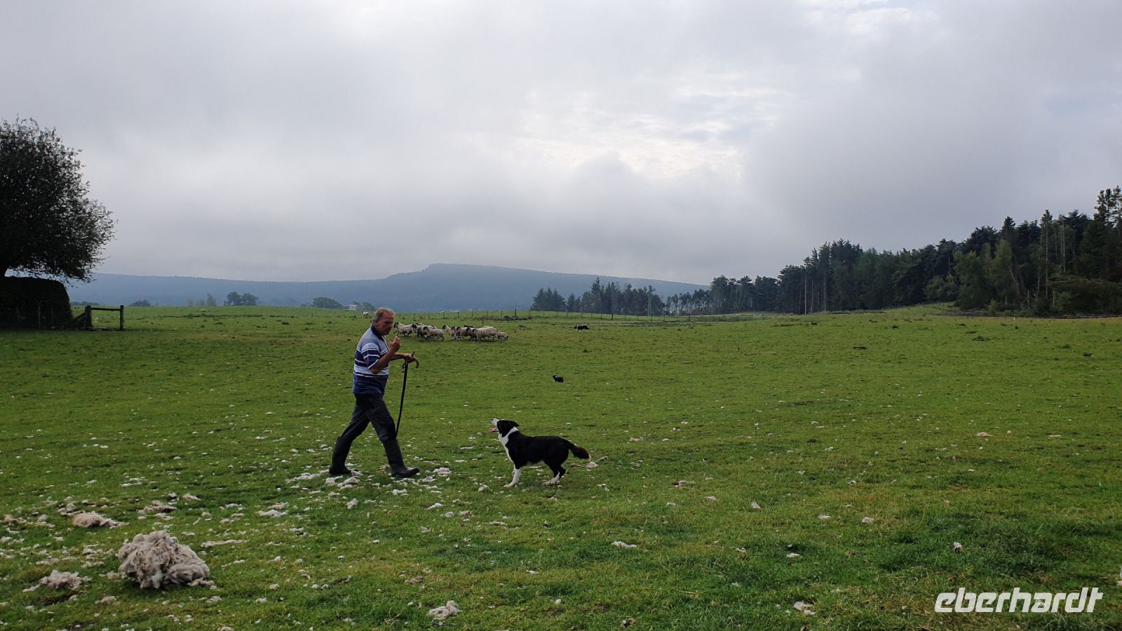 20220815 091950 beim Schäfer Neill &ndash; &copy; Marlies Thrum (Eberhardt TRAVEL)