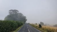 20220813 150204 Nebel in Küstennähe &ndash; &copy; Marlies Thrum (Eberhardt TRAVEL)