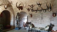 20220814 153150 Glamis Castle &ndash; &copy; Marlies Thrum (Eberhardt TRAVEL)