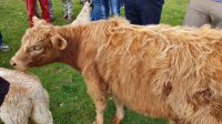20220815 093054 Kalb Anita  &ndash; &copy; Marlies Thrum (Eberhardt TRAVEL)