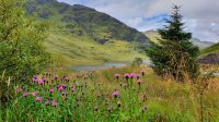 20220819 145723 See am Rest and be thankful &ndash; &copy; Marlies Thrum (Eberhardt TRAVEL)