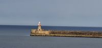 20220820 171649 Mole Newcastle &ndash; &copy; Marlies Thrum (Eberhardt TRAVEL)