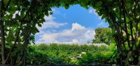 20220827 135048 Kensington Gardens &ndash; &copy; Marlies Thrum (Eberhardt TRAVEL)