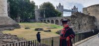 20220829 101814 Raben im Tower of London &ndash; &copy; Marlies Thrum (Eberhardt TRAVEL)