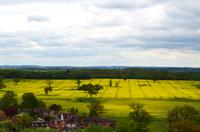 098 Warwick &ndash; &copy; Konrad Füssel (Eberhardt TRAVEL)