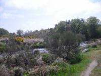 Dartmoor &ndash; &copy; Norbert Binder (Eberhardt TRAVEL)