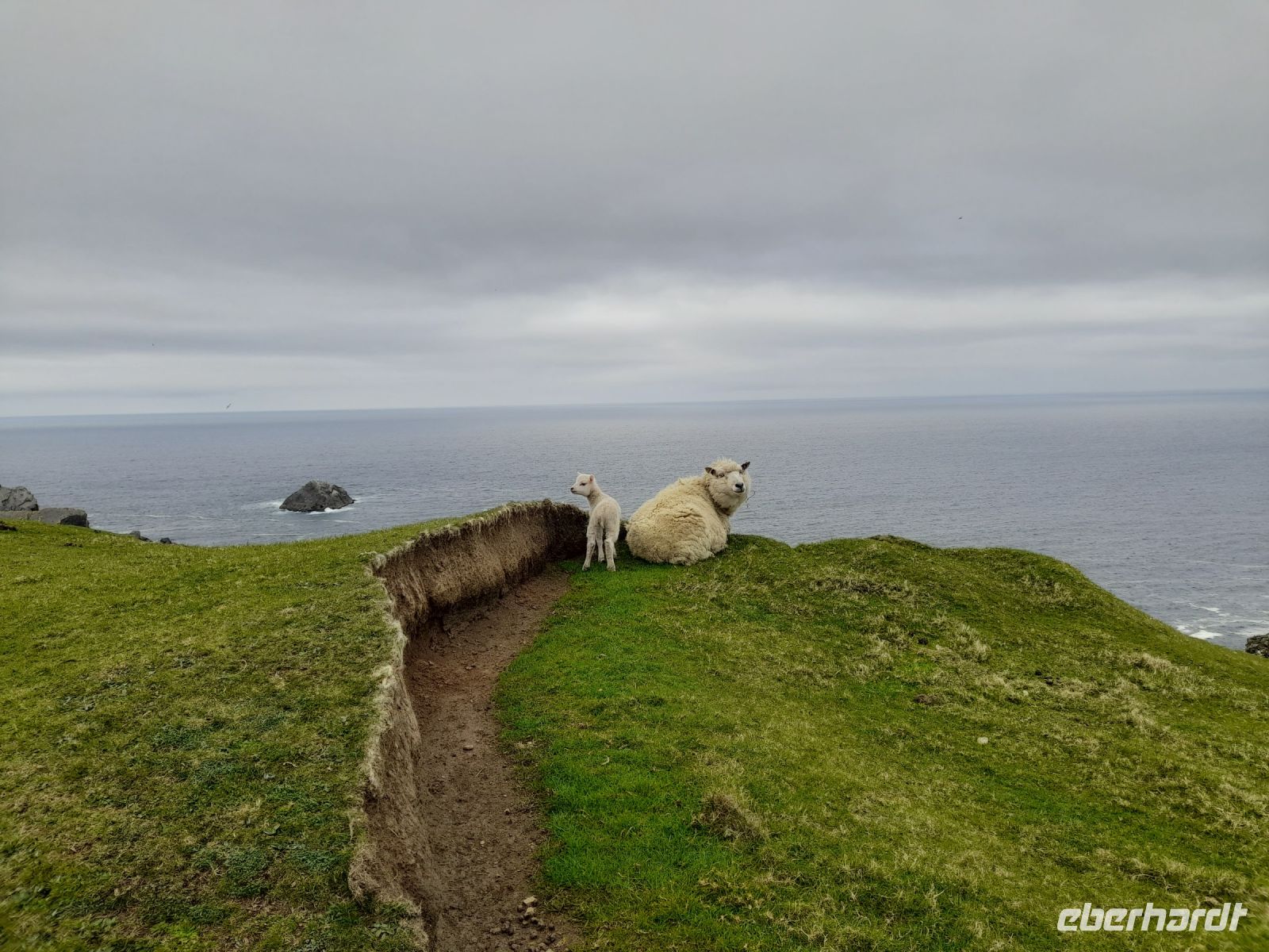 Hermaness Nature Reserve &ndash; &copy; Sinah Witzig (Eberhardt TRAVEL)
