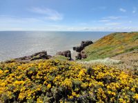 Arbroath Cliffs &ndash; &copy; Sinah Witzig (Eberhardt TRAVEL)