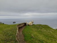 Hermaness Nature Reserve &ndash; &copy; Sinah Witzig (Eberhardt TRAVEL)