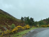 Natur bei Dundee &ndash; &copy; Gerold Achim Adamietz (Eberhardt TRAVEL)