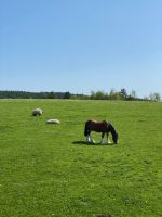 Landidyll &ndash; &copy; Gerold Achim Adamietz (Eberhardt TRAVEL)