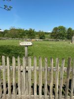 Ponys beißen! &ndash; &copy; Gerold Achim Adamietz (Eberhardt TRAVEL)