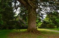 396 Armadale Castle