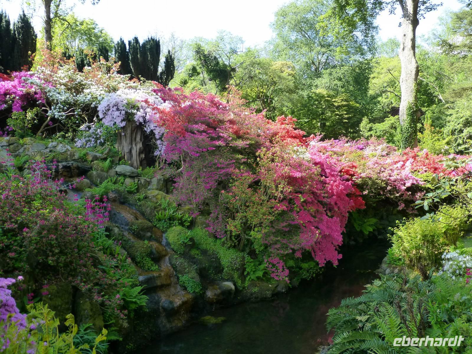 Bodnant Garden &ndash; &copy; Ralf Kuchenbecker (Eberhardt TRAVEL)
