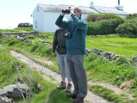 Moelfre &ndash; &copy; Ralf Kuchenbecker (Eberhardt TRAVEL)
