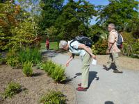 Bodnant Garden &ndash; &copy; Ralf Kuchenbecker (Eberhardt TRAVEL)