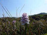 Pembrokeshire Coast Path &ndash; &copy; Ralf Kuchenbecker (Eberhardt TRAVEL)