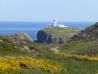 Pembrokeshire Coast Path &ndash; &copy; Ralf Kuchenbecker (Eberhardt TRAVEL)