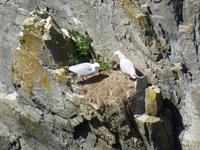 Stakepole Head &ndash; &copy; Ralf Kuchenbecker (Eberhardt TRAVEL)