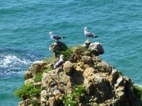 Stakepole Head &ndash; &copy; Ralf Kuchenbecker (Eberhardt TRAVEL)