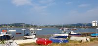 20230612_170536 am Hafen von Conwy.jpg &ndash; &copy; Marlies Thrum (Eberhardt TRAVEL)