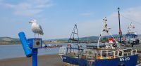 20230612_170924 Conwy.jpg &ndash; &copy; Marlies Thrum (Eberhardt TRAVEL)