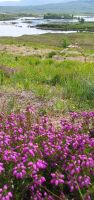 20230614 123112 &ndash; &copy; Marlies Thrum (Eberhardt TRAVEL)