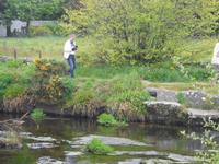 Dartmoor - Postbridge &ndash; &copy; Norbert Binder (Eberhardt TRAVEL)