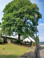 in Fort Augustus &ndash; &copy; Barbara Pflicke (Eberhardt TRAVEL)