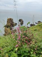 Blick vom Dunnottar Castle &ndash; &copy; Barbara Pflicke (Eberhardt TRAVEL)