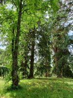 in Balmoral &ndash; &copy; Barbara Pflicke (Eberhardt TRAVEL)