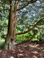 in Balmoral &ndash; &copy; Barbara Pflicke (Eberhardt TRAVEL)