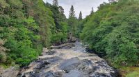 20230712 124741 Moriston Falls