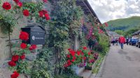 20230713 162215 Luss am Loch Lomond  &ndash; &copy; Marlies Thrum (Eberhardt TRAVEL)