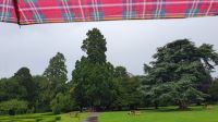 20230718 144335 Dublin- Phoenix Park &ndash; &copy; Marlies Thrum (Eberhardt TRAVEL)