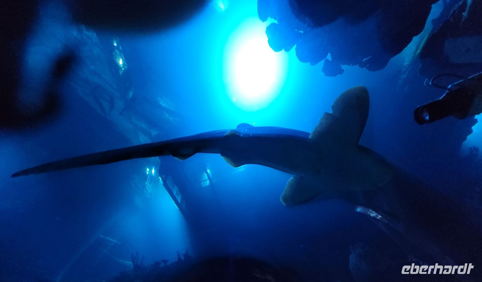 1002 Hull - The Deep &ndash; &copy; Jörg Nesse (Eberhardt TRAVEL)