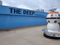 1001 Hull - The Deep &ndash; &copy; Jörg Nesse (Eberhardt TRAVEL)