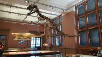  Im Kelvingrove Museum 20230728 142239 &ndash; &copy; Marlies Thrum (Eberhardt TRAVEL)