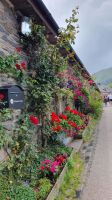 am Loch Lomond 20230729 140712 &ndash; &copy; Marlies Thrum (Eberhardt TRAVEL)