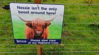  Schottland eben...20230731 141351 &ndash; &copy; Marlies Thrum (Eberhardt TRAVEL)